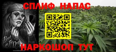 крисы Балахна