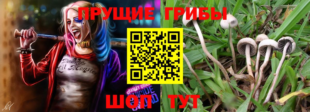 Псилоцибиновые грибы Magic Shrooms  Псилоцибиновые грибы прущие грибы  Гуково  Вход с VPN 