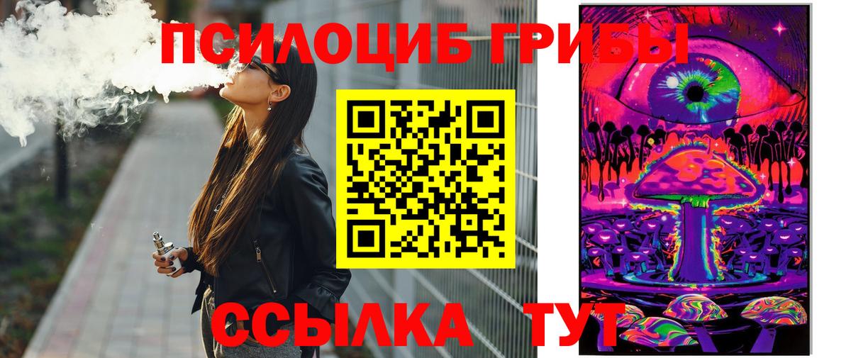Псилоцибиновые грибы Psilocybine cubensis Гуково